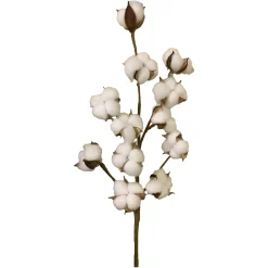 Depot Kunstzweig Baumwolle> Einzelblumen & Zweige