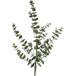 Depot Kunstzweig Eukalyptus> Einzelblumen & Zweige
