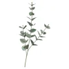 Depot Blumen^Kunstzweig Eukalyptus