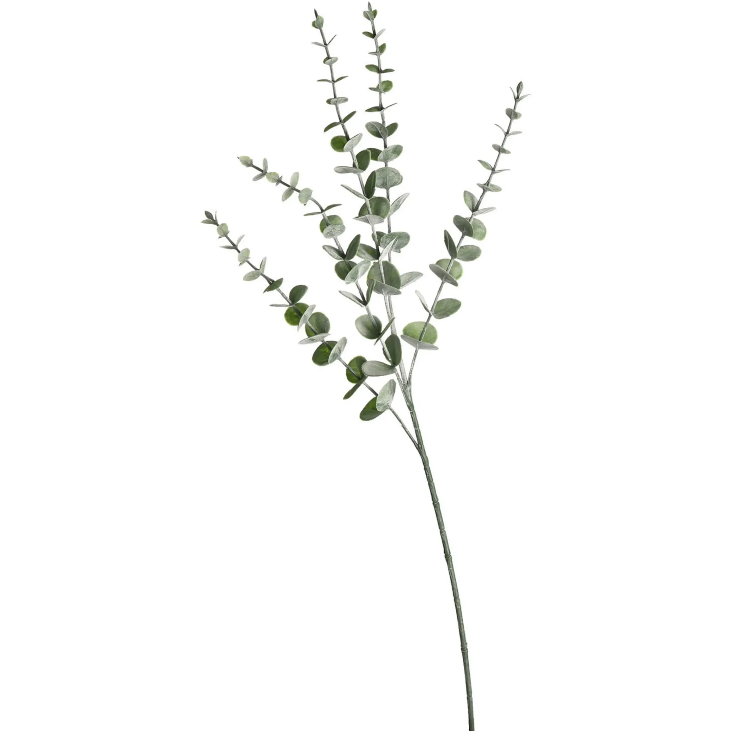 Depot Kunstzweig Eukalyptus> Einzelblumen & Zweige