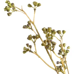 Depot Kunstzweig Eukalyptus-Knospe> Einzelblumen & Zweige