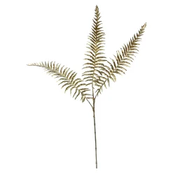 Depot Blumen^Kunst-Zweig Farn