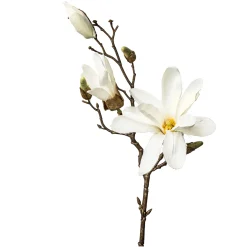 Depot Kunst-Zweig Magnolie> Einzelblumen & Zweige