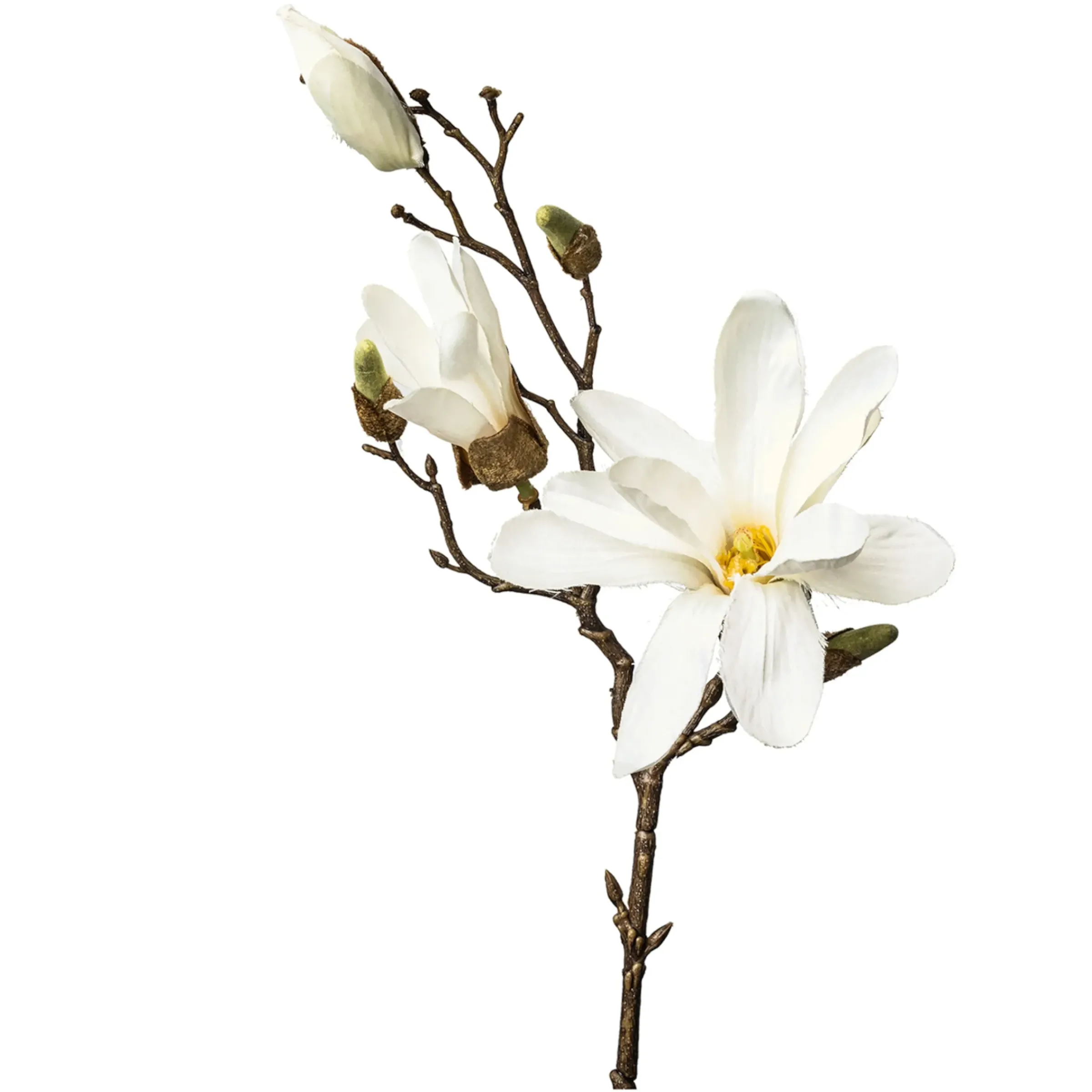 Depot Kunst-Zweig Magnolie> Einzelblumen & Zweige