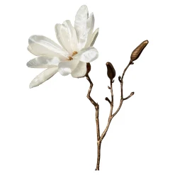 Depot Adventskranz-Deko^Kunst-Zweig Magnolie