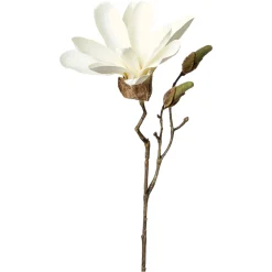 Depot Kunst-Zweig Magnolie> Einzelblumen & Zweige