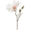 Depot Kunst-Zweig Magnolie> Einzelblumen & Zweige