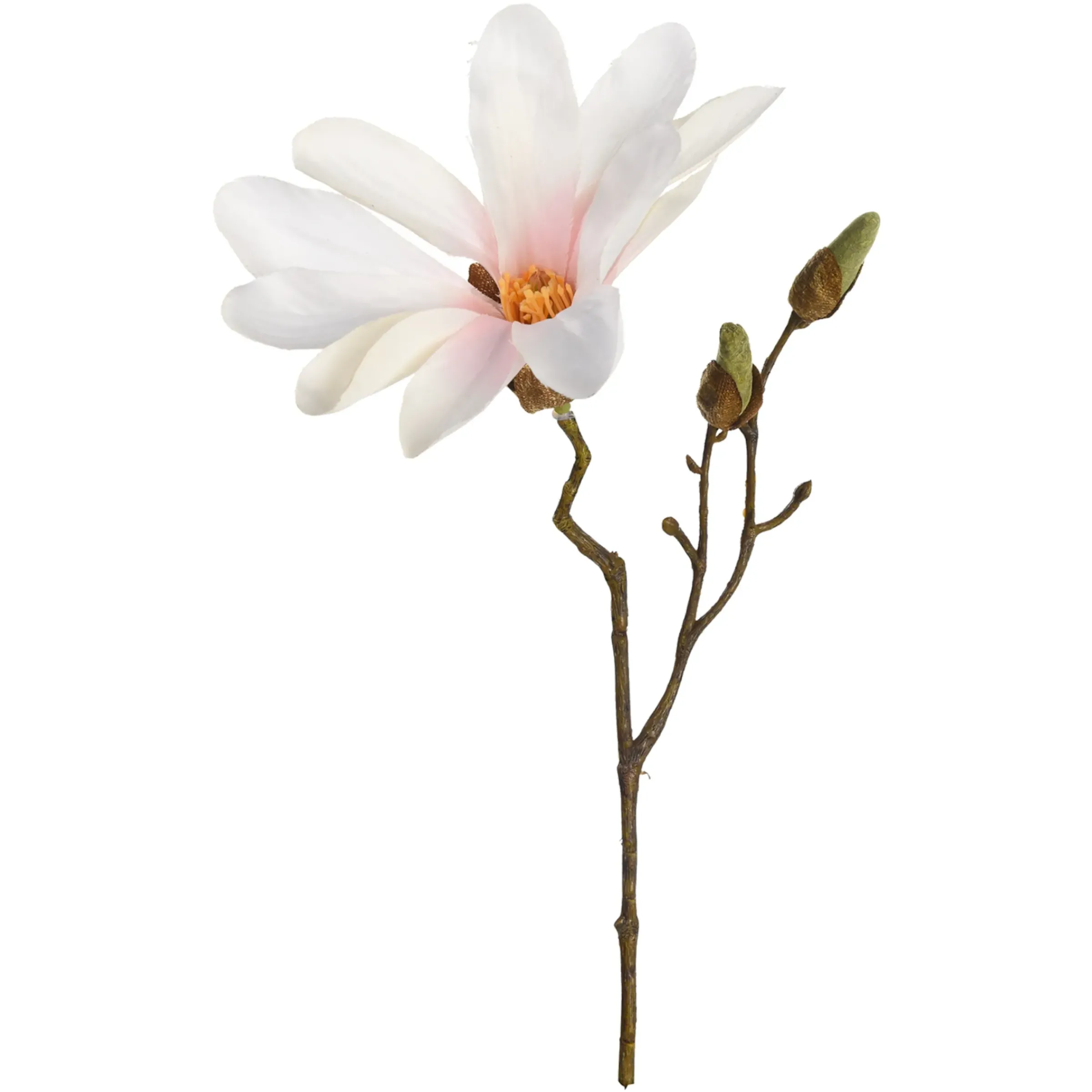 Depot Kunst-Zweig Magnolie> Einzelblumen & Zweige