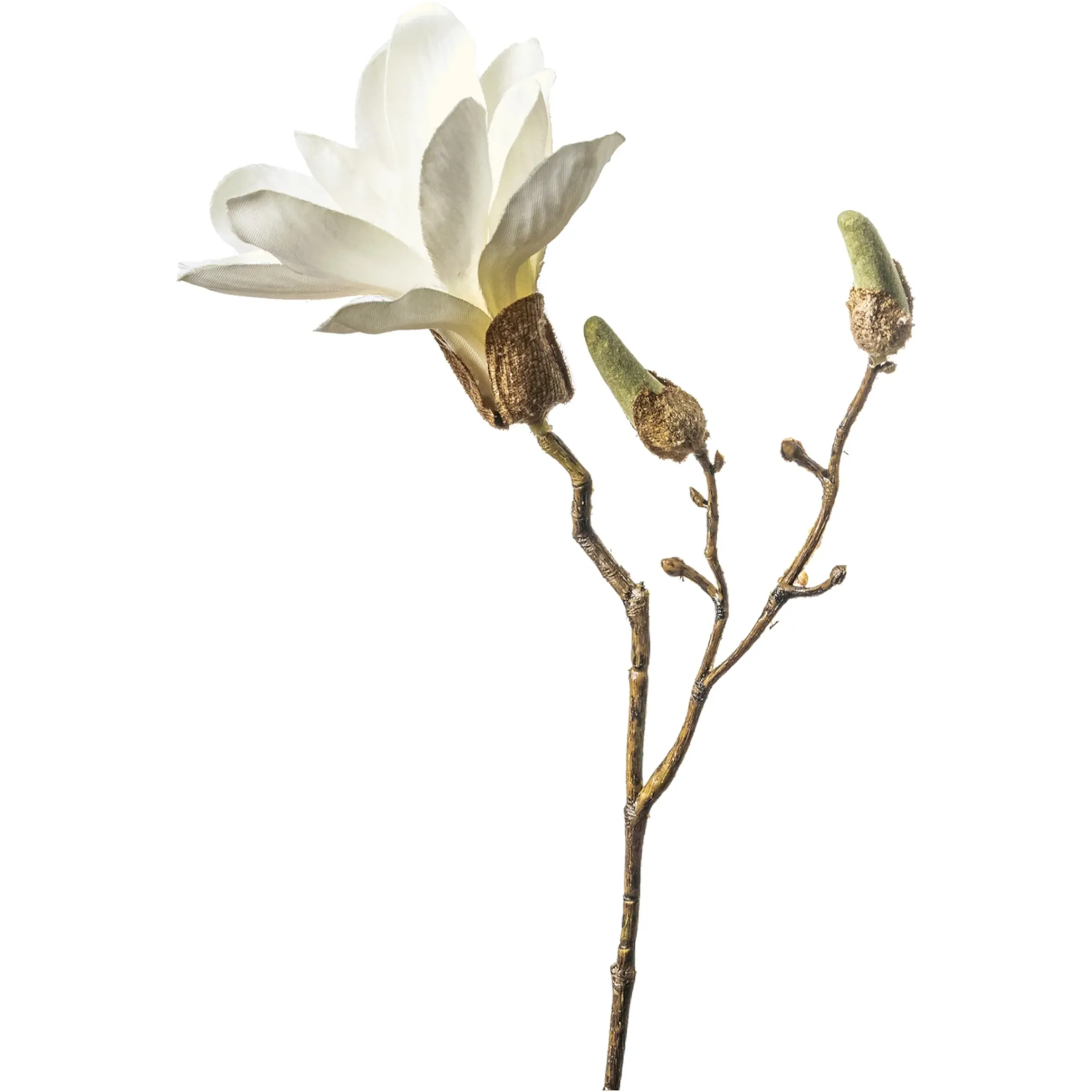 Depot Kunst-Zweig Magnolie> Einzelblumen & Zweige