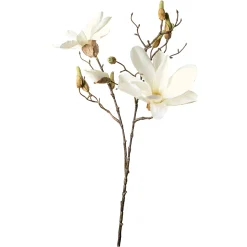 Depot Kunst-Zweig Magnolie> Einzelblumen & Zweige