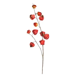 Depot Adventskranz-Deko^Kunstzweig Physalis