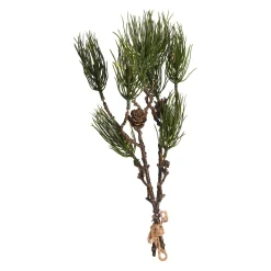 Depot Adventskranz-Deko^Kunst-Zweig Pinie