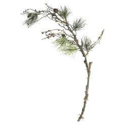 Depot Adventskranz-Deko^Kunst-Zweig Pinie