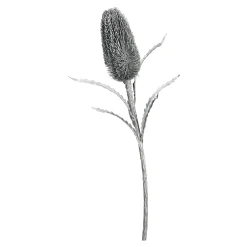 Depot Blumen^Protea Ca. 70Cm, Silber