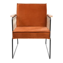 Depot Samt-Sessel Leander> Sessel