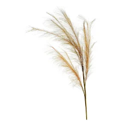 Depot Blumen^Stielblume Pampas Glam Ca. 110