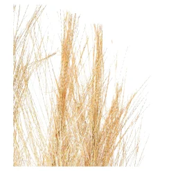 Depot Blumen^Stielblume Pampas Glam Ca. 110