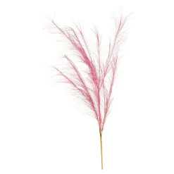 Depot Blumen^Stielblume Pampas Glam Ca. 110