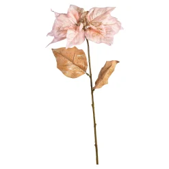 Depot Blumen^Stielblume Weihnachtsstern Ca.67Cm