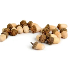 Depot Streuartikel Eicheln> Basteln & Diy