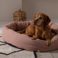 Depot Teppich Xenia> Eckige Teppiche