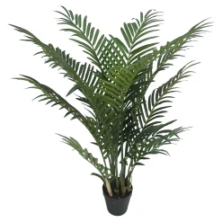 Depot Geschenkideen^Topfpflanze Arecapalme Ca. 90Cm