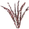 Depot Trockenblume Eukalyptus> Einzelblumen & Zweige