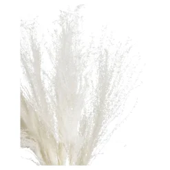 Depot Geschenkideen^Trockenblume Schilf