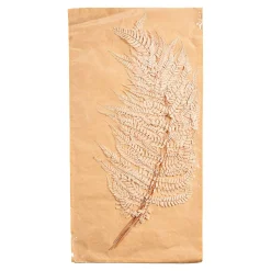 Depot Blumen^Trockenblumen Farn