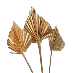 Depot Geschenkideen^Trockenblumen Palmleaf