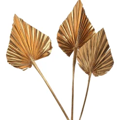 Depot Geschenkideen^Trockenblumen Palmleaf