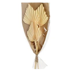 Depot Geschenkideen^Trockenblumen Palmleaf