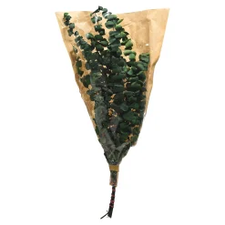 Depot Blumen^Trockenblumenbund Eukalyptus