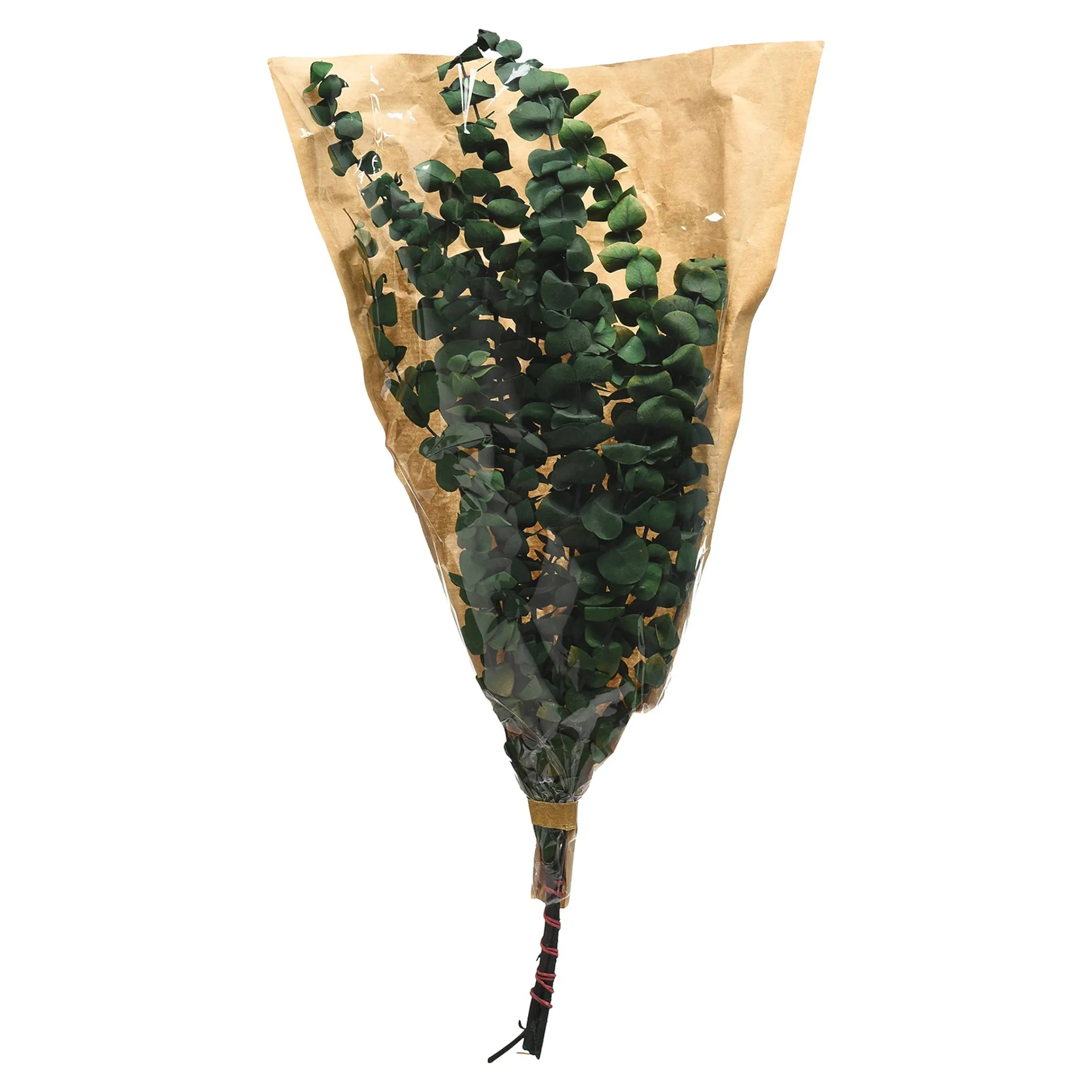 Depot Blumen^Trockenblumenbund Eukalyptus