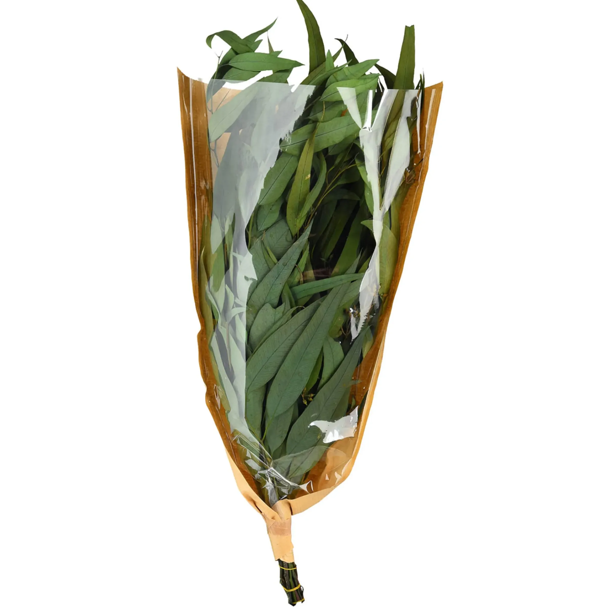 Depot Trockenblumenbund Eukalyptus> Einzelblumen & Zweige