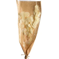 Depot Blumen^Trockenblumenbund Eukalyptus