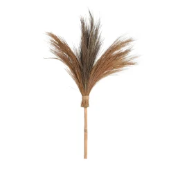 Depot Trockenblumenbund Federgraser> Einzelblumen & Zweige