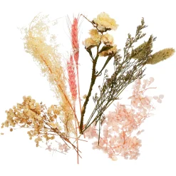 Depot Trockenblumenbund Getreide> Einzelblumen & Zweige