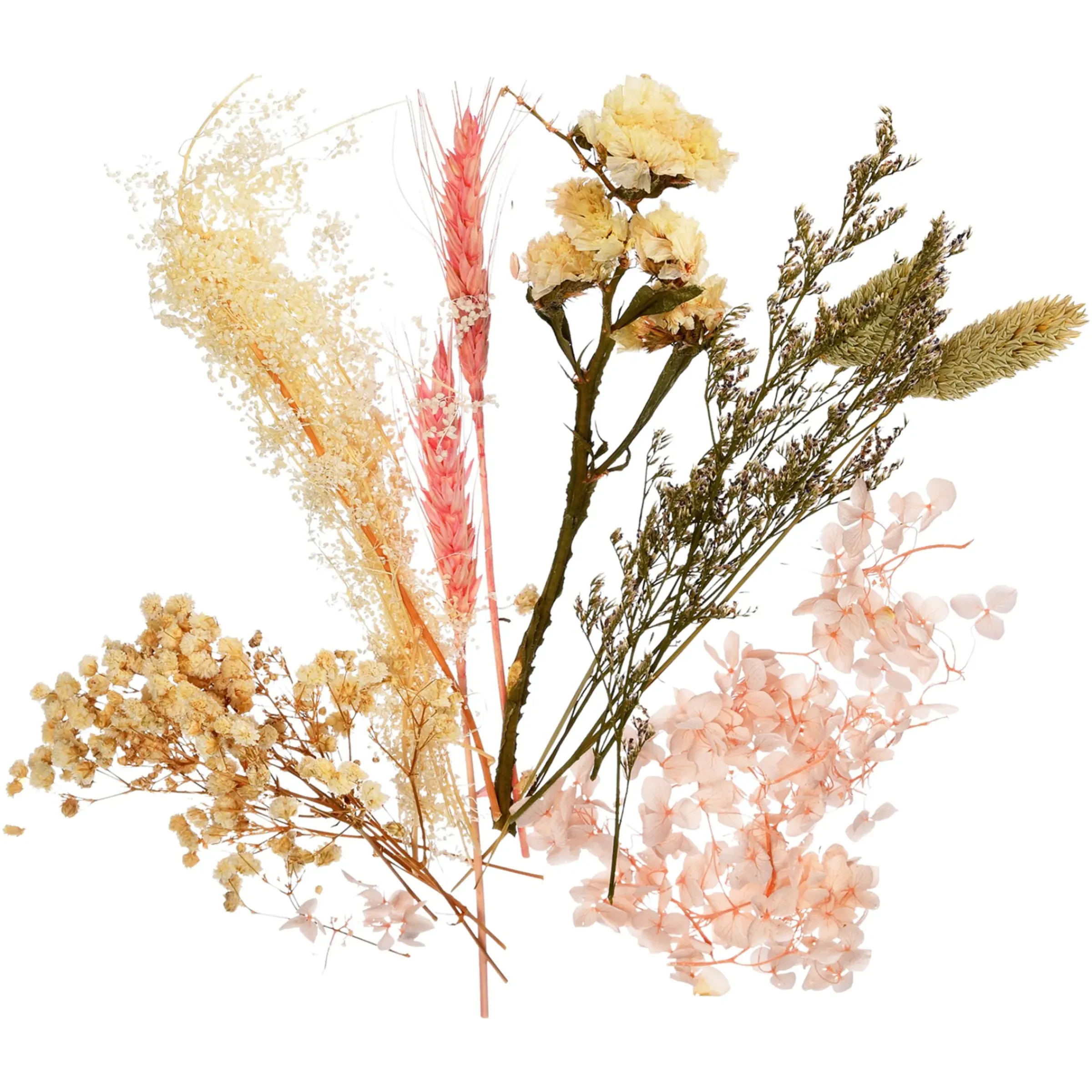 Depot Trockenblumenbund Getreide> Einzelblumen & Zweige