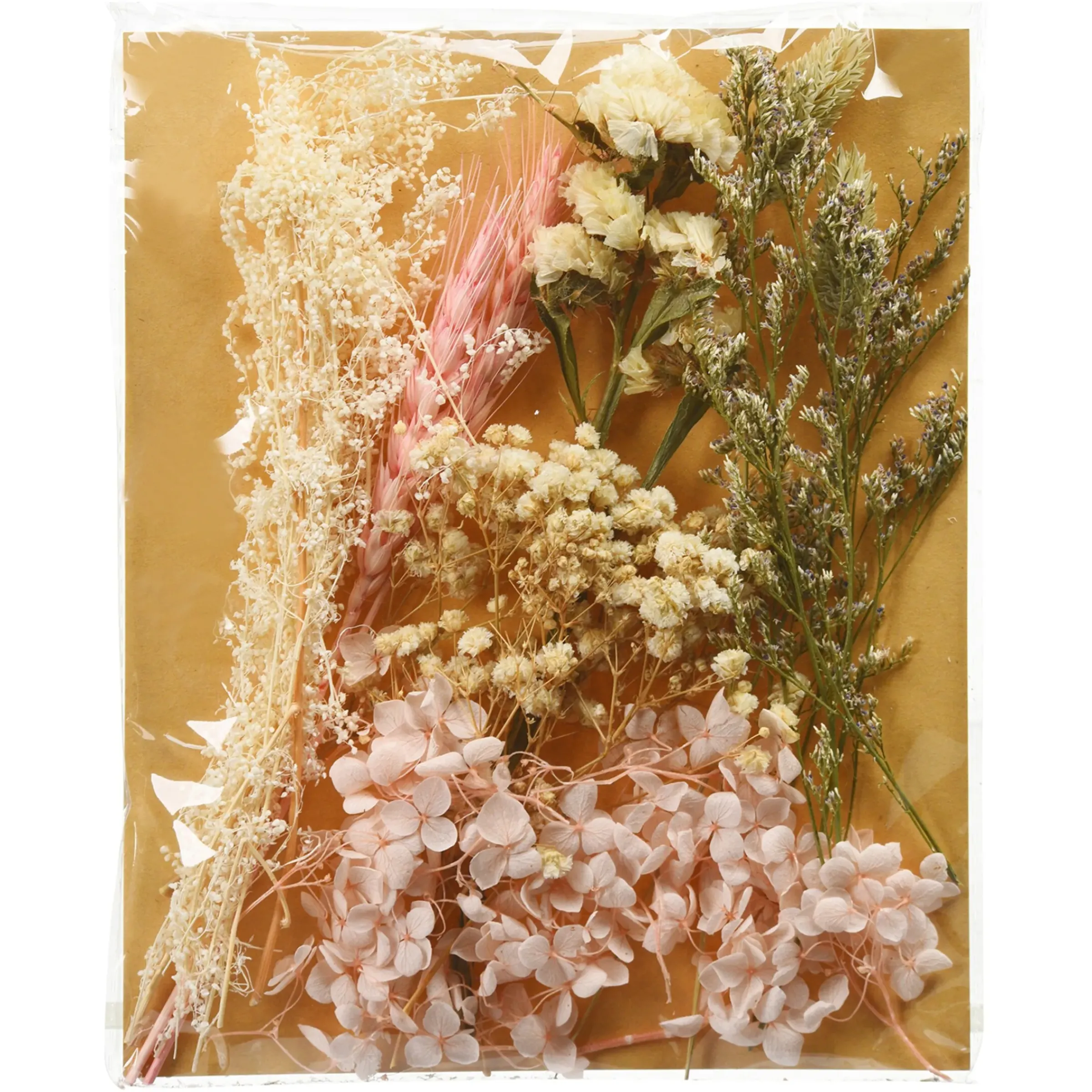 Depot Trockenblumenbund Getreide> Einzelblumen & Zweige