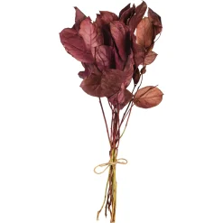 Depot Trockenblumenbund Leaves> Einzelblumen & Zweige