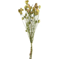 Depot Trockenblumenbund Nigella> Einzelblumen & Zweige