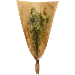 Depot Trockenblumenbund Nigella> Einzelblumen & Zweige
