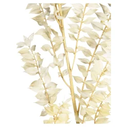 Depot Geschenkideen^Trockenblumenbund Ruscus