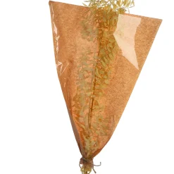 Depot Trockenblumenbund Ruscus><noscript><img width=