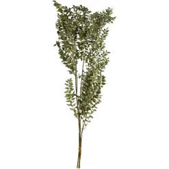 Depot Trockenblumenbund Ruscus> Einzelblumen & Zweige