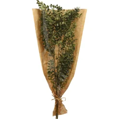 Depot Trockenblumenbund Ruscus> Einzelblumen & Zweige