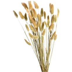 Depot Trockenblumenbund Samtgras> Einzelblumen & Zweige