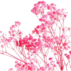 Depot Trockenblumenbund Schleierkraut><noscript><img width=