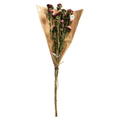 Depot Geschenkideen^Trockenblumenbund Strohblumen